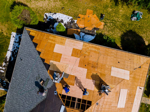 Best Roof Maintenance Services  in Houma, LA